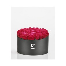 Rose Magenta